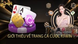 K9win – Nhà cái hàng đầu có dịch vụ bảo mật tiên tiến bậc nhất