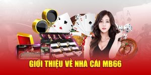 MB66 – Nhà cái uy tín cá cược online số 1 hiện nay