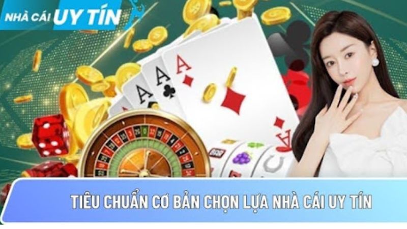 Tiêu chuẩn cơ bản chọn lựa nhacaiuytin