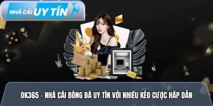 Ok365 – Nhà cái bóng đá uy tín với nhiều kèo cược hấp dẫn